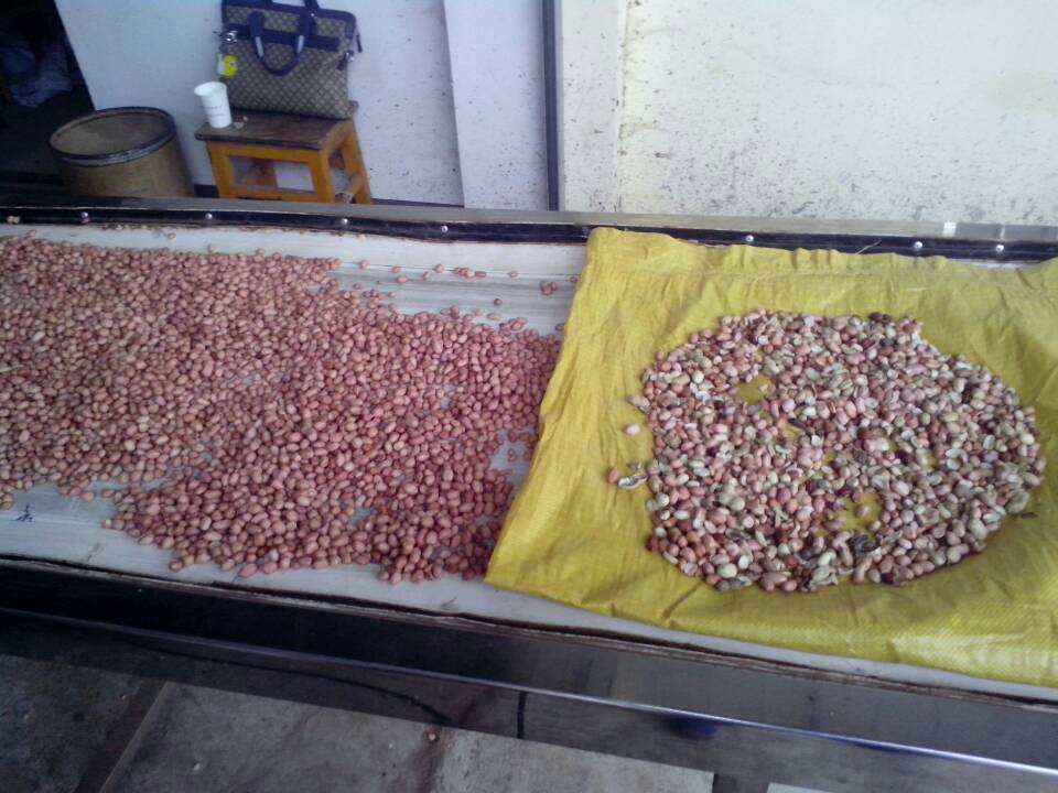 安晶龙全彩色CCD履带式花生色选机 智能分选的新标杆