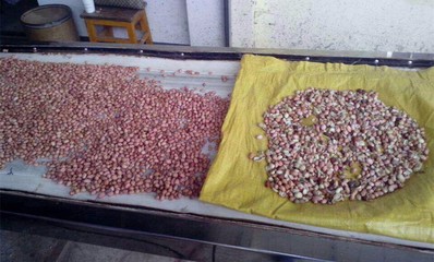 花生色选机专业解析 提升品质，助力加工智能化